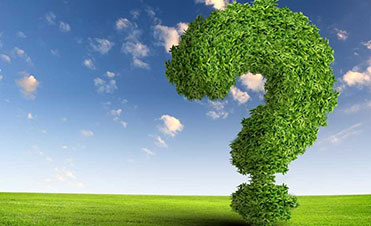 Tại sao nên thành lập doanh nghiệp tư nhân?