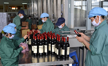 Thành lập công ty sản xuất rượu